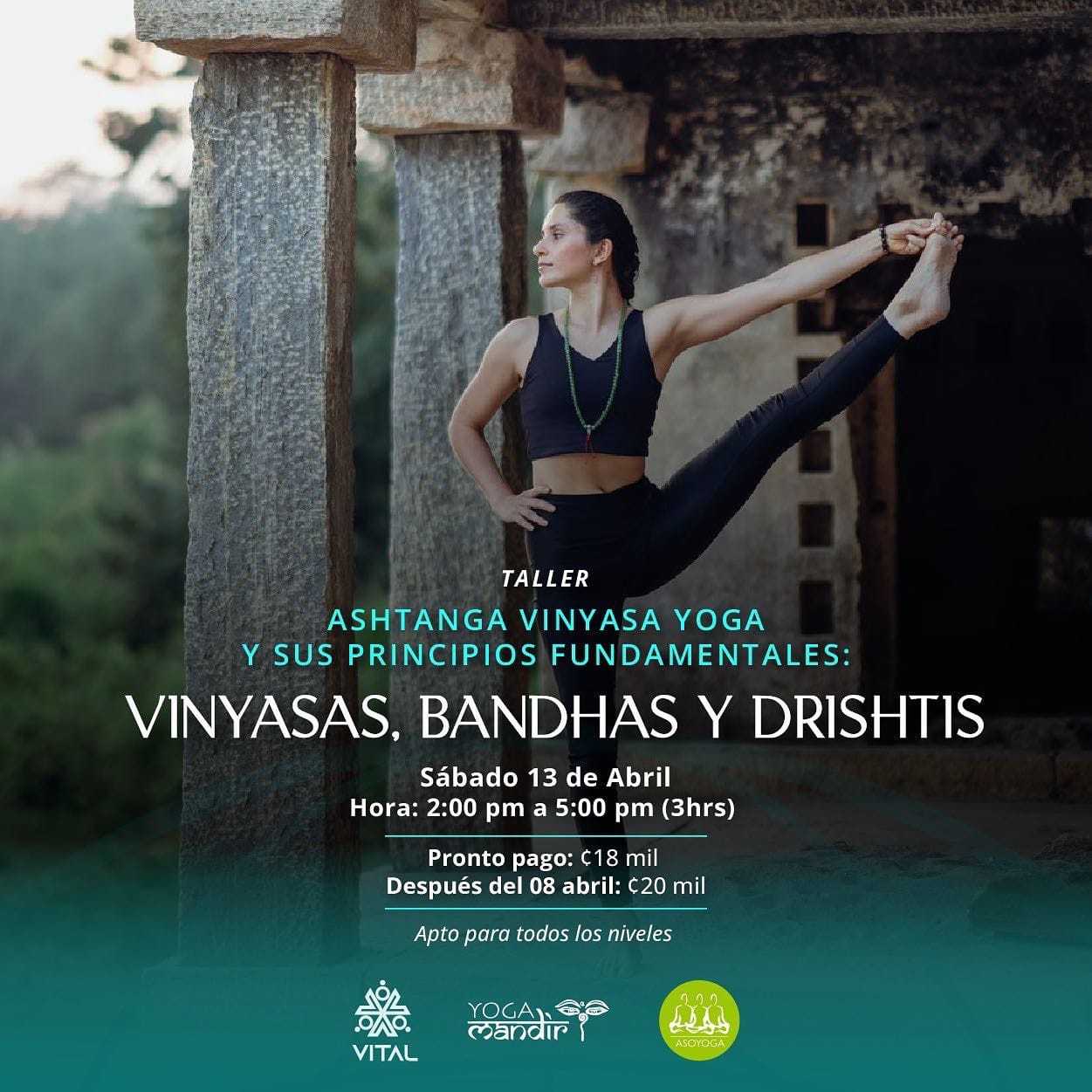 Vinyasas, Bandhas y Drishtis en San José